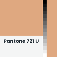 Color chip: Pantone 721 U