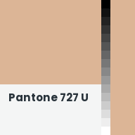 Color chip: Pantone 727 U