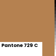 Color chip: Pantone 729 C