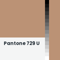 Color chip: Pantone 729 U