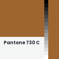 Color chip: Pantone 730 C