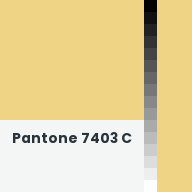 Color chip: Pantone 7403 C