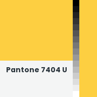 Color chip: Pantone 7404 U