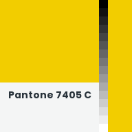 Color chip: Pantone 7405 C