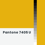 Color chip: Pantone 7405 U