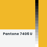 Color chip: Pantone 7406 U