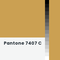 Color chip: Pantone 7407 C