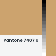 Color chip: Pantone 7407 U