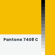 Color chip: Pantone 7408 C
