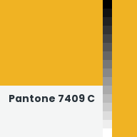 Color chip: Pantone 7409 C