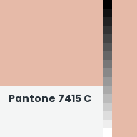 Color chip: Pantone 7415 C