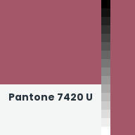 Color chip: Pantone 7420 U