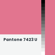 Color chip: Pantone 7423 U