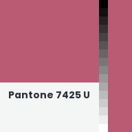 Color chip: Pantone 7425 U