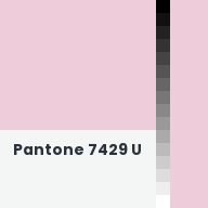 Color chip: Pantone 7429 U