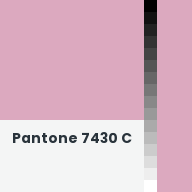 Color chip: Pantone 7430 C