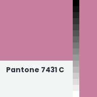 Color chip: Pantone 7431 C