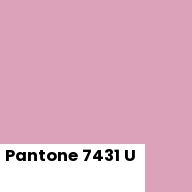 Color chip: Pantone 7431 U