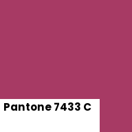 Color chip: Pantone 7433 C