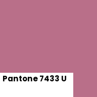Color chip: Pantone 7433 U