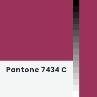 Color chip: Pantone 7434 C