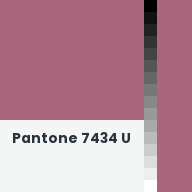 Color chip: Pantone 7434 U