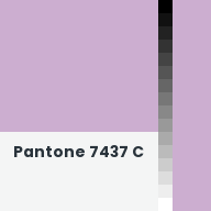 Color chip: Pantone 7437 C