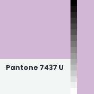 Color chip: Pantone 7437 U