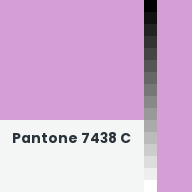 Color chip: Pantone 7438 C