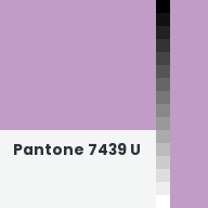 Color chip: Pantone 7439 U