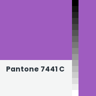 Color chip: Pantone 7441 C