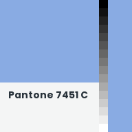 Color chip: Pantone 7451 C