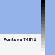 Color chip: Pantone 7451 U