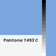 Color chip: Pantone 7453 C