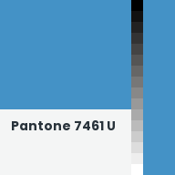 Color chip: Pantone 7461 U