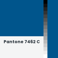 Color chip: Pantone 7462 C