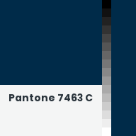 Color chip: Pantone 7463 C