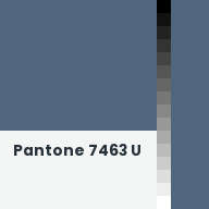 Color chip: Pantone 7463 U
