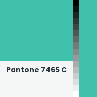 Color chip: Pantone 7465 C