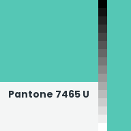 Color chip: Pantone 7465 U
