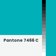 Color chip: Pantone 7466 C