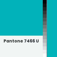 Color chip: Pantone 7466 U