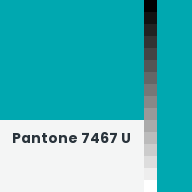 Color chip: Pantone 7467 U