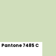 Color chip: Pantone 7485 C