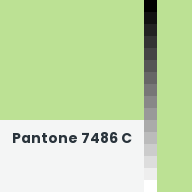 Color chip: Pantone 7486 C
