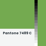 Color chip: Pantone 7489 C