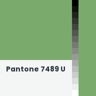 Color chip: Pantone 7489 U