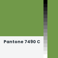 Color chip: Pantone 7490 C