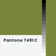 Color chip: Pantone 7491 C
