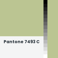 Color chip: Pantone 7493 C